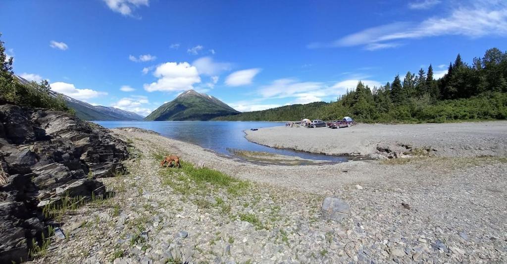 Oyster Lady Homer, Ak المظهر الخارجي الصورة