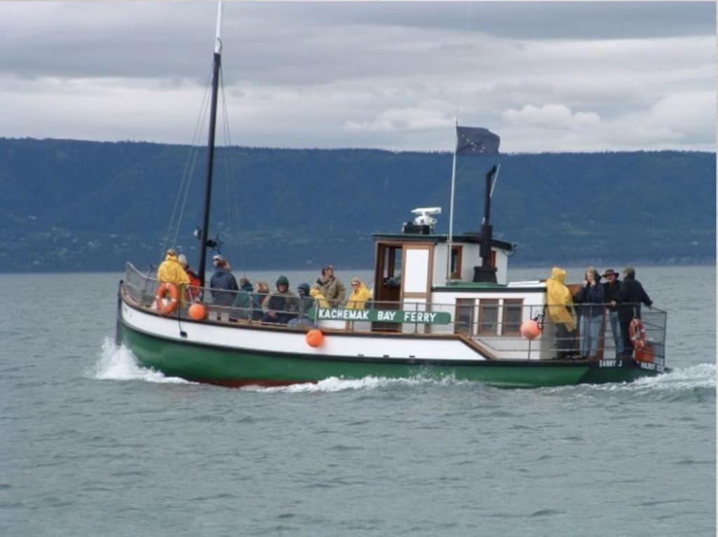 Oyster Lady Homer, Ak المظهر الخارجي الصورة