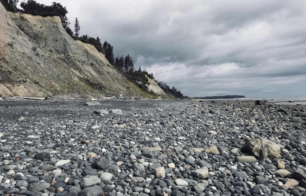 Oyster Lady Homer, Ak المظهر الخارجي الصورة